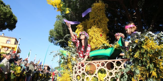 Ne manquez pas les fêtes du Mimosa et des fleurs sur la Côte d'Azur!