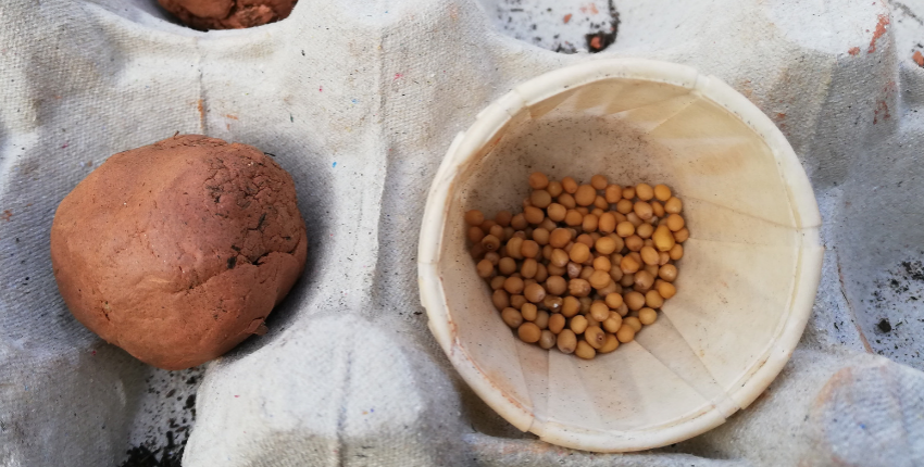 Bombe à graines, terrarium… Cinq idées recyclage pour jardiner avec les  enfants