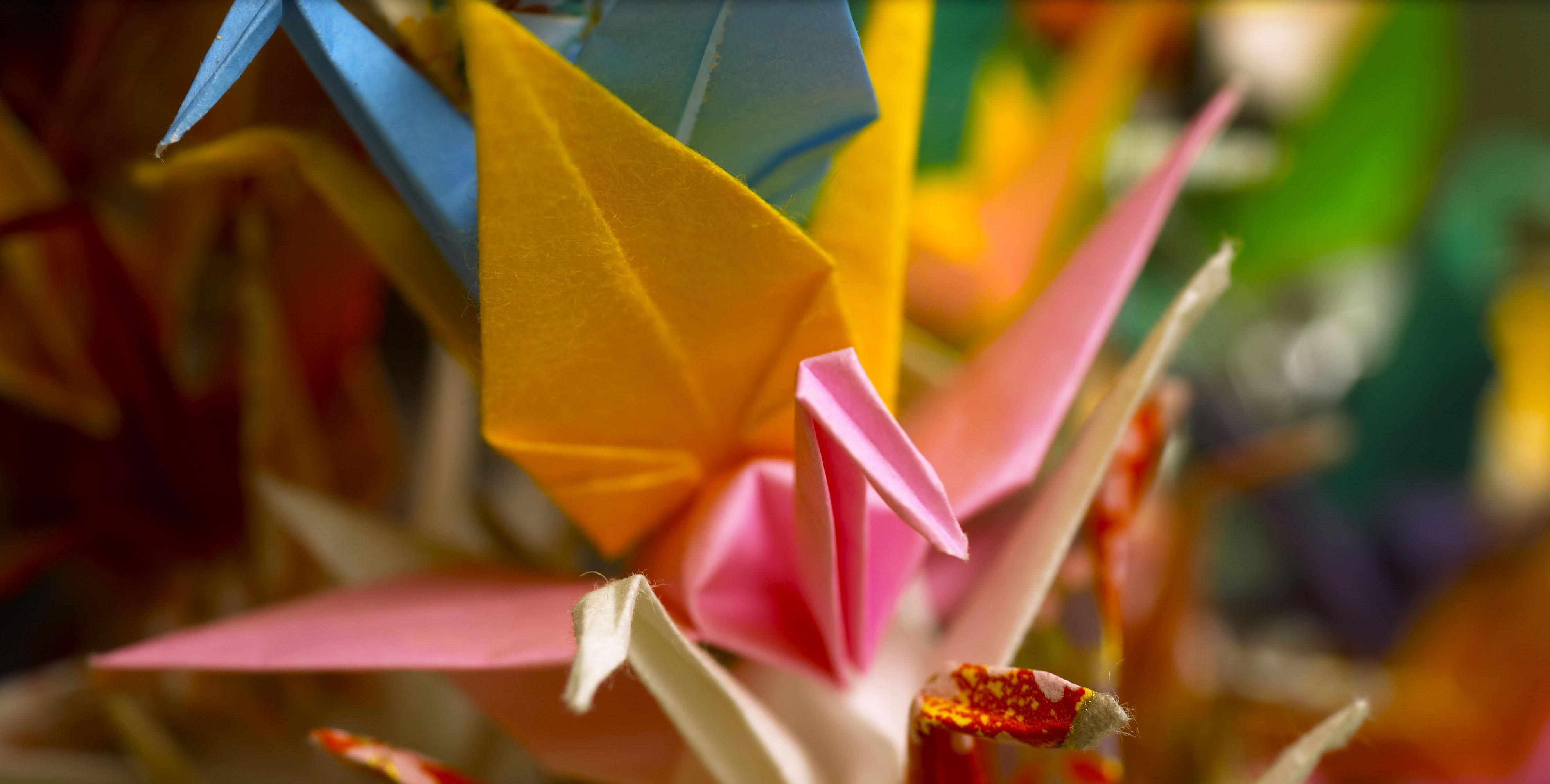 Atelier origami au Musée des Arts Asiatiques de Nice