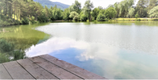 Le lac de Thorenc, un écrin de verdure pour les familles